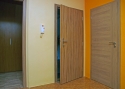 ADLO - Bezpečnostné dvere TEDUO, hladký design, povrch dverí Indický Eben
