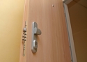ADLO - Bezpečnostné dvere TEDUO, vchodové dvere do bytu, povrch dverí Agát H1277