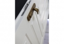 ADLO - Bezpečnostné dvere TEJEN, design Kazetové, povrch dverí striekané Color